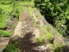 tropical hardwood country log bridge, Costa Rica